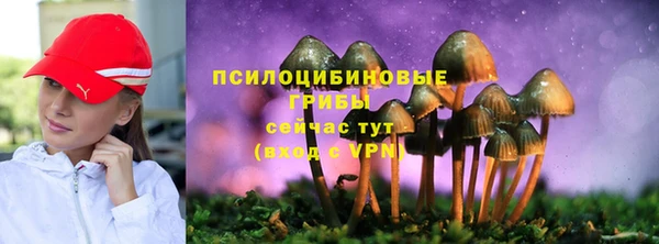 шишки Навашино