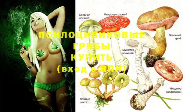 шишки Навашино