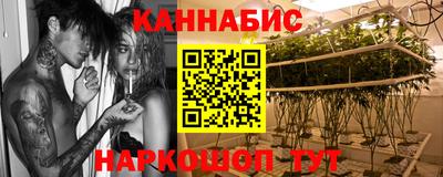 молекула духа Гагарин