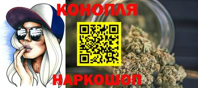 крисы Гай
