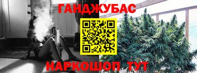 эйфоретик Гатчина