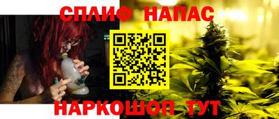 крисы Гай