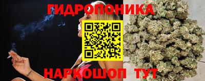 прущие крисы Абинск