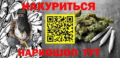 крисы Гай