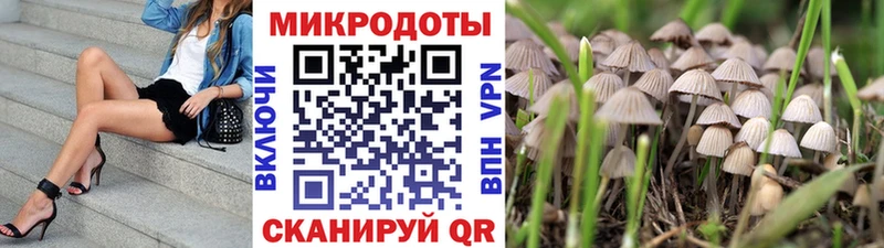 Псилоцибиновые грибы Magic Shrooms Алушта