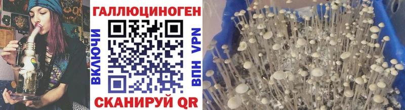 Галлюциногенные грибы Cubensis  Алушта 