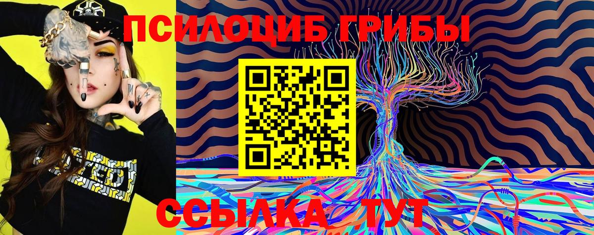 Псилоцибиновые грибы прущие грибы Алушта