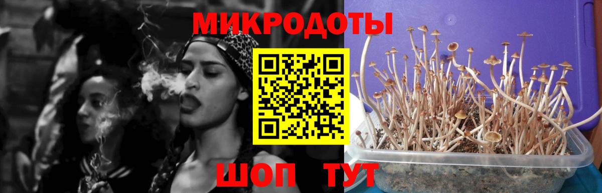Галлюциногенные грибы мухоморы  Вход с VPN  Алушта 