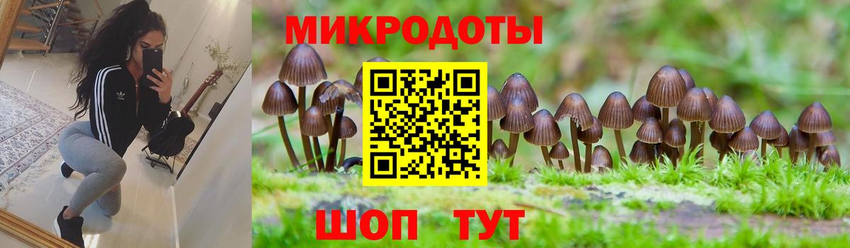 Галлюциногенные грибы прущие грибы  Вход с VPN  Алушта  Галлюциногенные грибы Psilocybe 