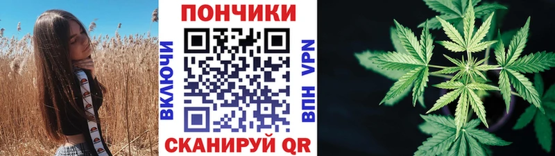где найти   Алушта  Каннабис SATIVA & INDICA 